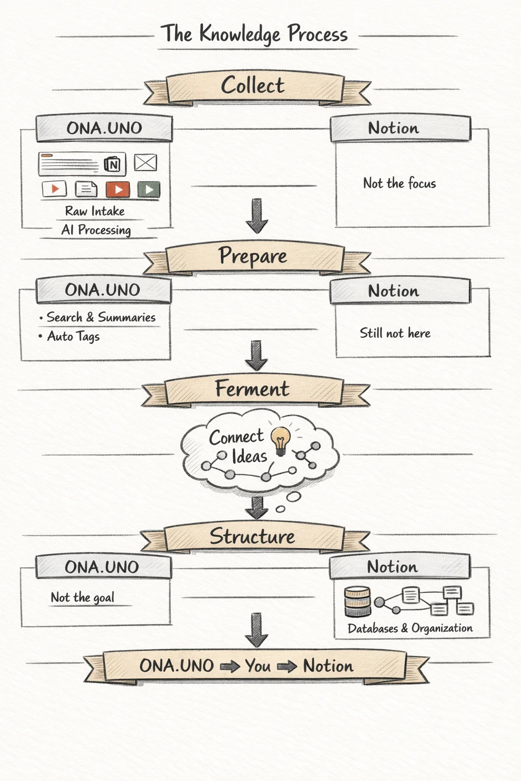 The Knowledge Process: Collect, Prepare, Ferment, Structure — how ONA.UNO and Notion each contribute